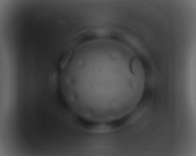X0000101480319200807071509