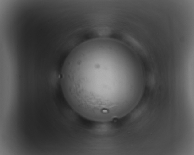 X0000101480321200807071509