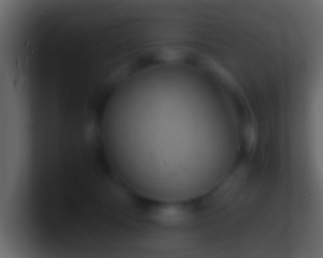 X0000101480322200807071509
