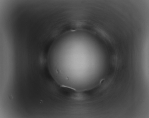 X0000101480324200807071509