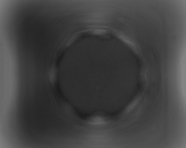 X0000101480325200807071509