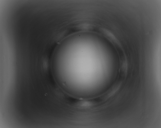 X0000101480326200807071509