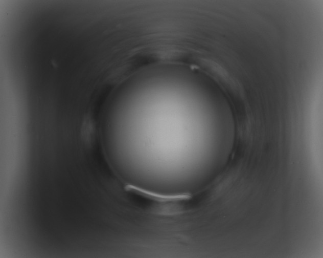 X0000101480327200807071509