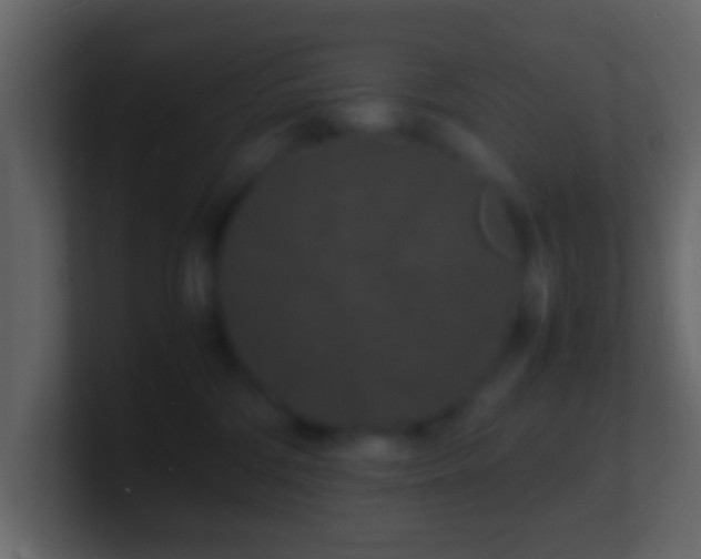 X0000101480330200807071509
