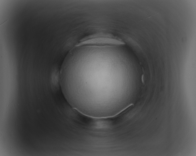 X0000101480336200807071509