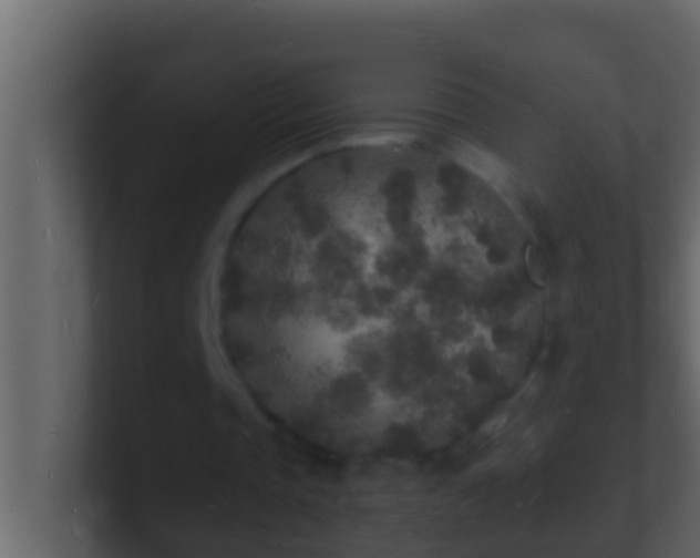 X0000101480337200807071508