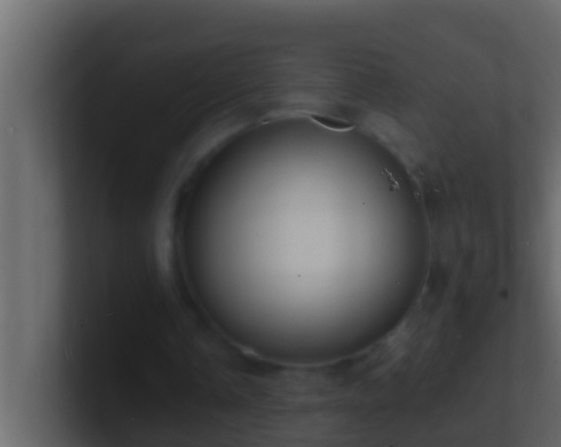 X0000101480338200807071508