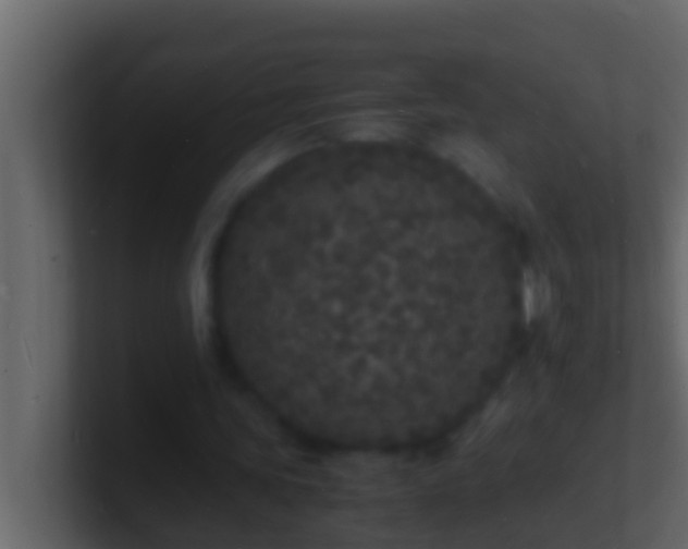 X0000101480339200807071508