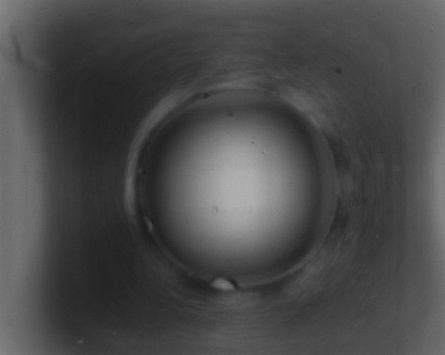 X0000101480340200807071508