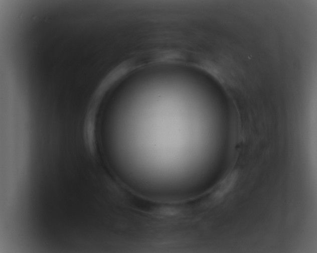 X0000101480341200807071508