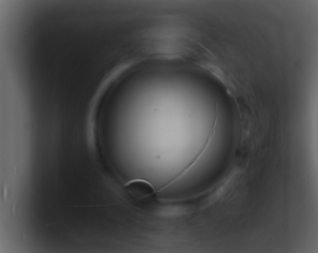 X0000101480342200807071508