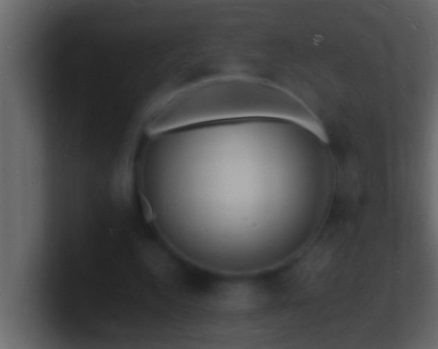 X0000101480344200807071508