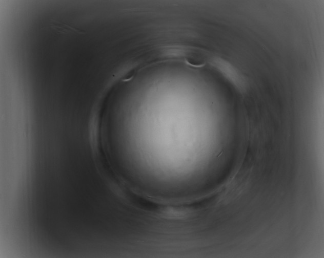 X0000101480346200807071508