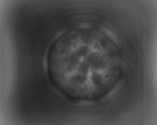 X0000101480347200807071508