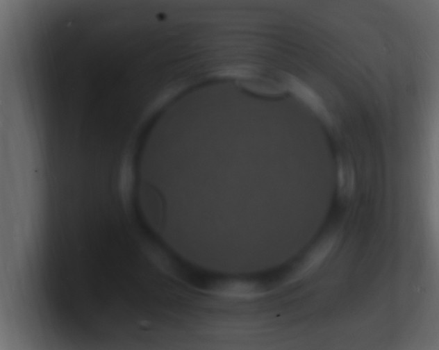 X0000101480348200807071508