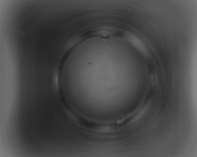 X0000101480349200807071508