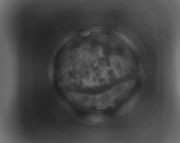X0000101480351200807071508