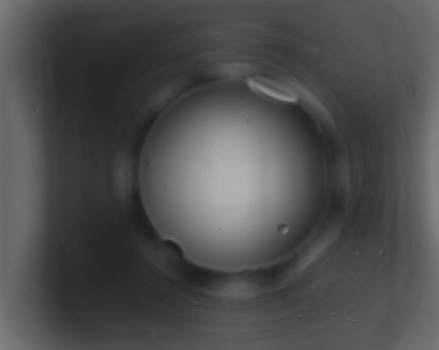 X0000101480356200807071509
