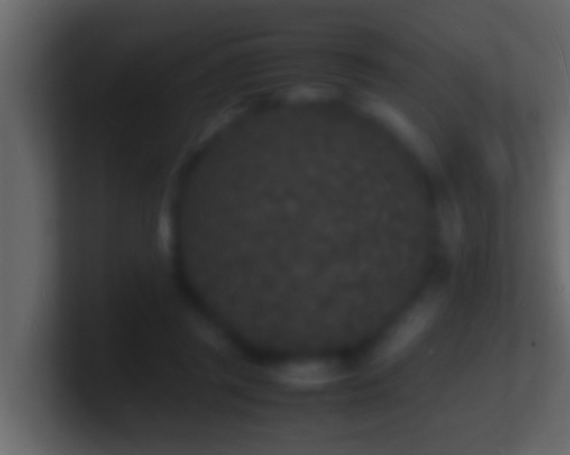 X0000101480357200807071509