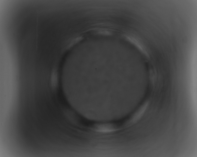 X0000101480359200807071509