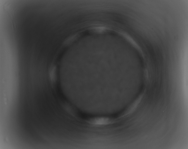 X0000101480361200807071509