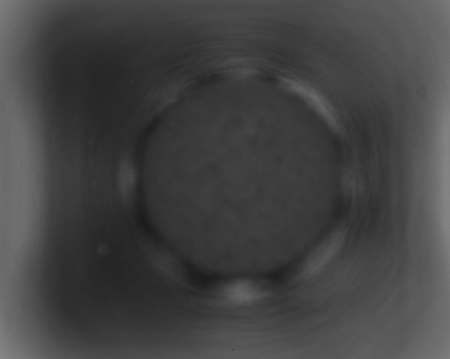 X0000101480365200807071509