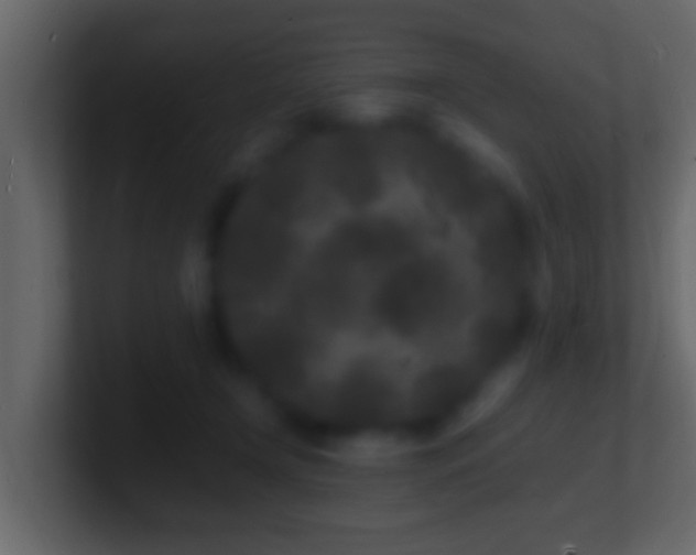 X0000101480366200807071509