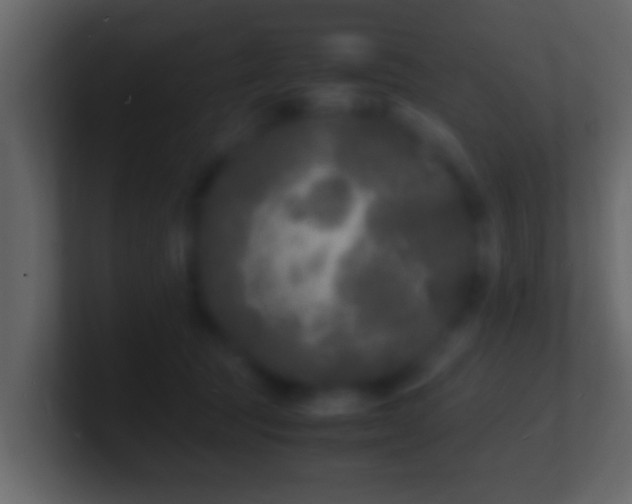 X0000101480369200807071509