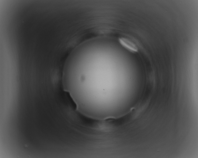 X0000101480372200807071509