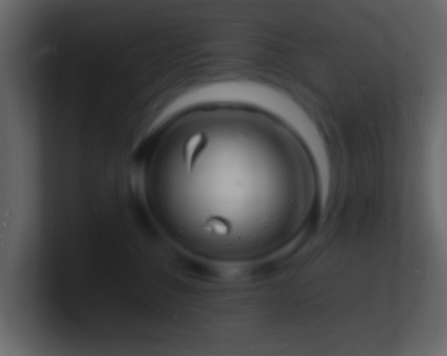 X0000101480376200807071509