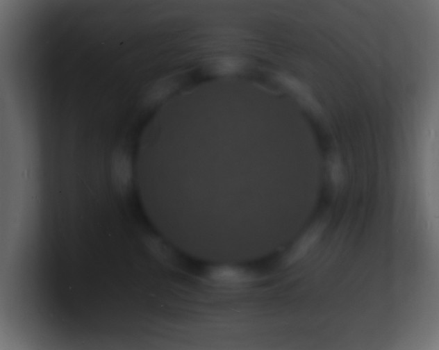 X0000101480380200807071509