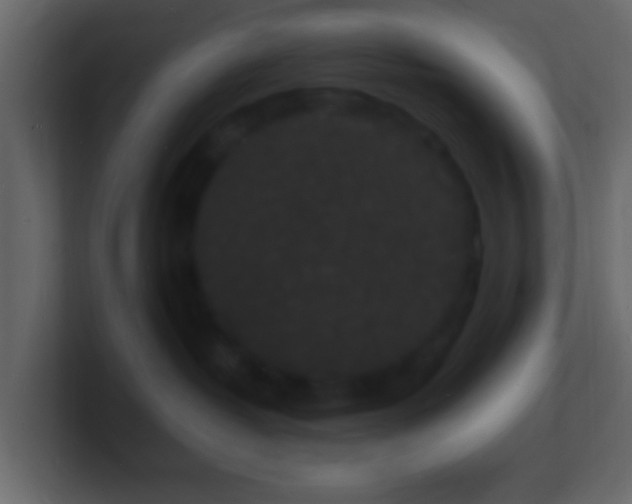 X0000101480382200807071509