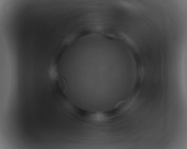 X0000101480383200807071509