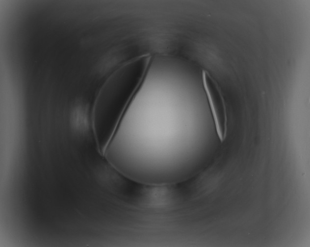 X0000101480384200807071509
