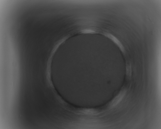 X0000101480385200807071508