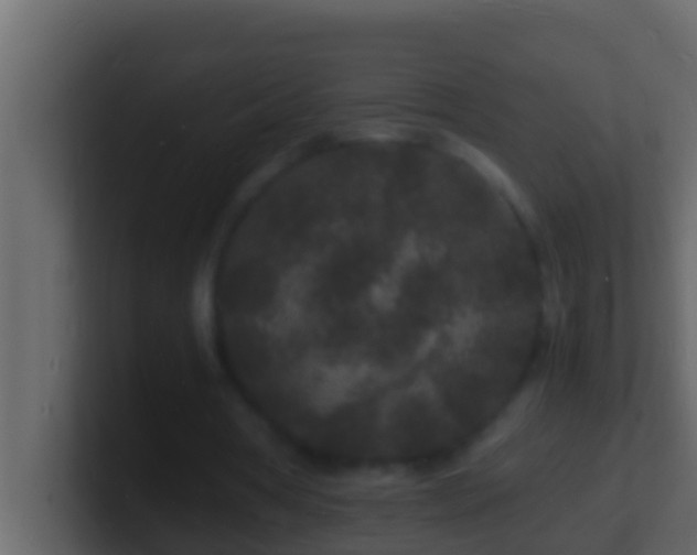 X0000101480386200807071508