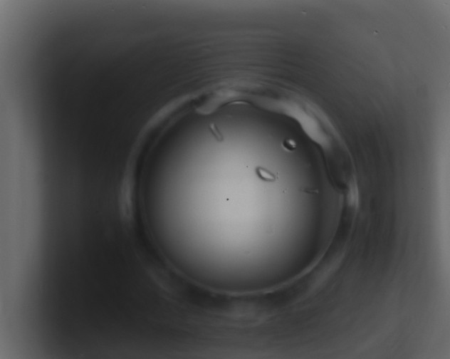 X0000101480388200807071508