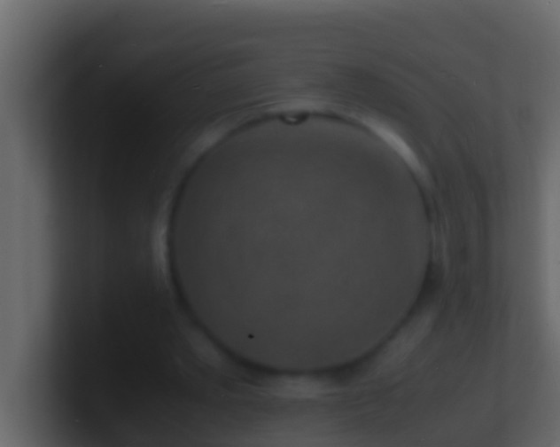 X0000101480389200807071508