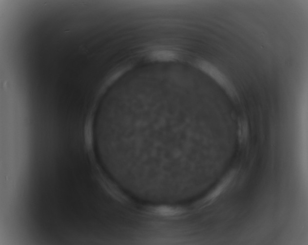 X0000101480390200807071508