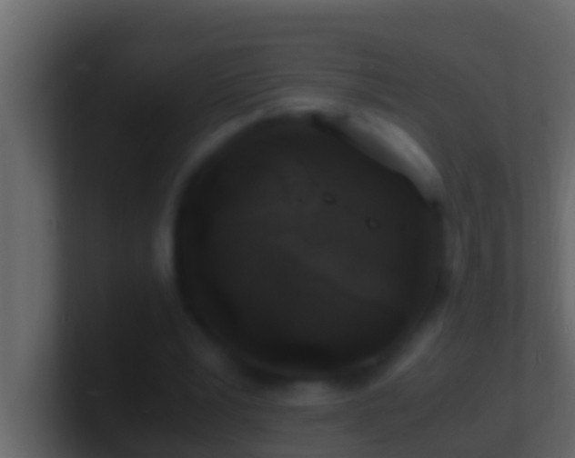X0000101480391200807071508