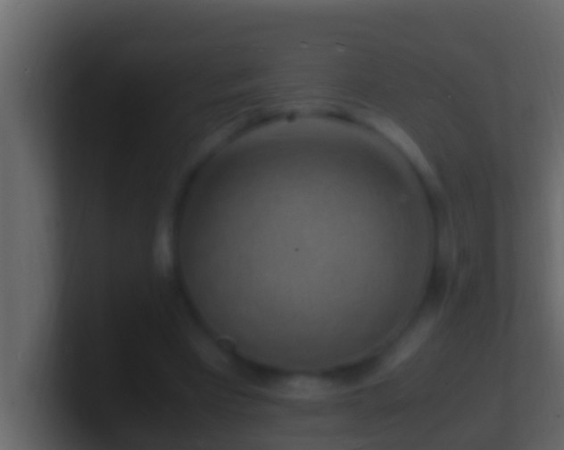X0000101480393200807071508