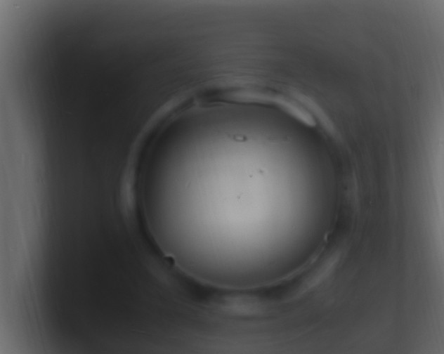 X0000101480395200807071508