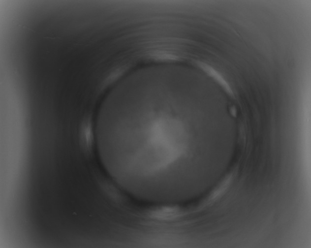 X0000101480398200807071508