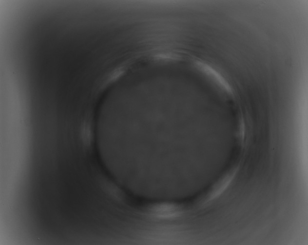X0000101480402200807071508