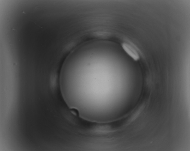 X0000101480403200807071508