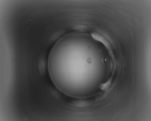 X0000101480404200807071508