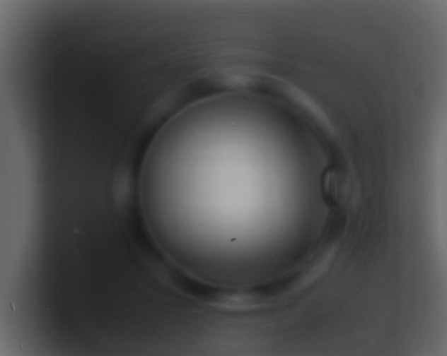 X0000101480407200807071508