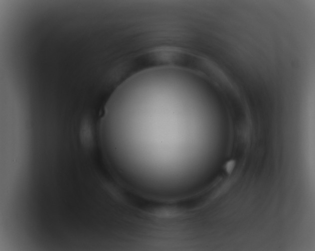 X0000101480408200807071508