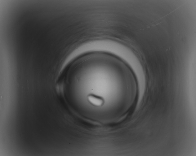 X0000101480415200807071508