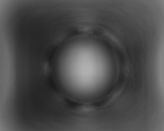 X0000101480420200807071508